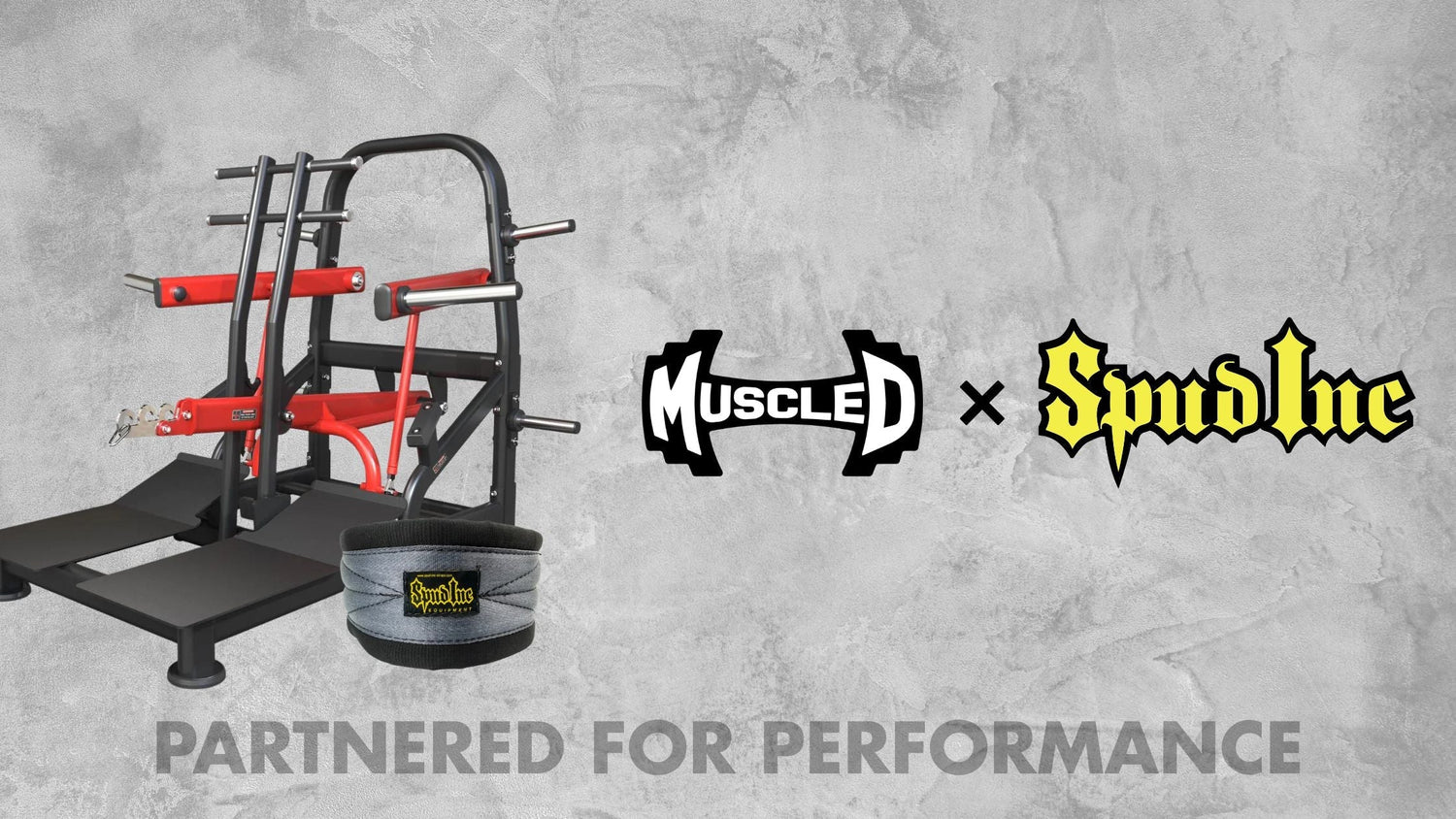 Muscle D Partners with Spud Inc for Premium Belt Accessories