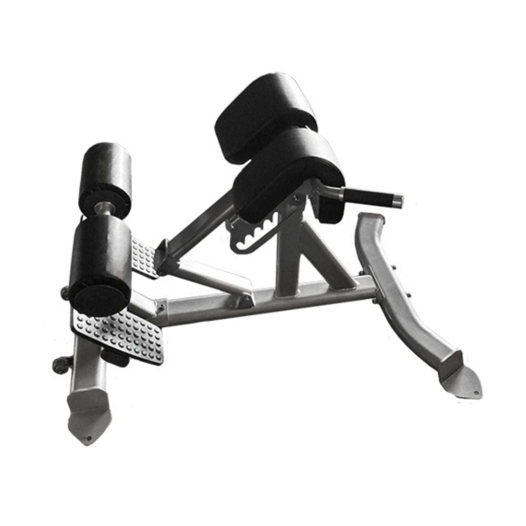Back Extension Bench - Muscle D Fitness - Premium Upholstery Lower Back, Roman Chair