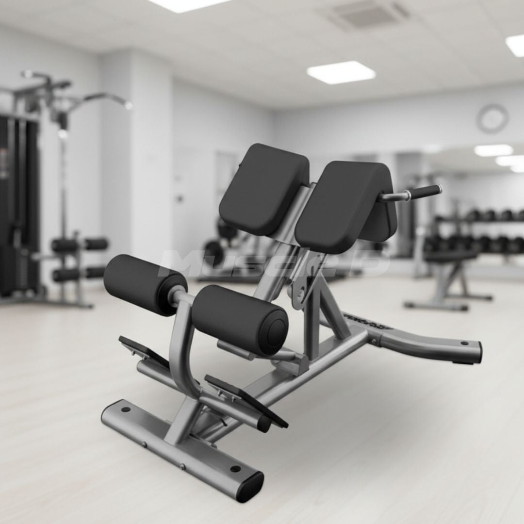 Back Extension Bench - Muscle D Fitness - Premium Upholstery Lower Back, Roman Chair