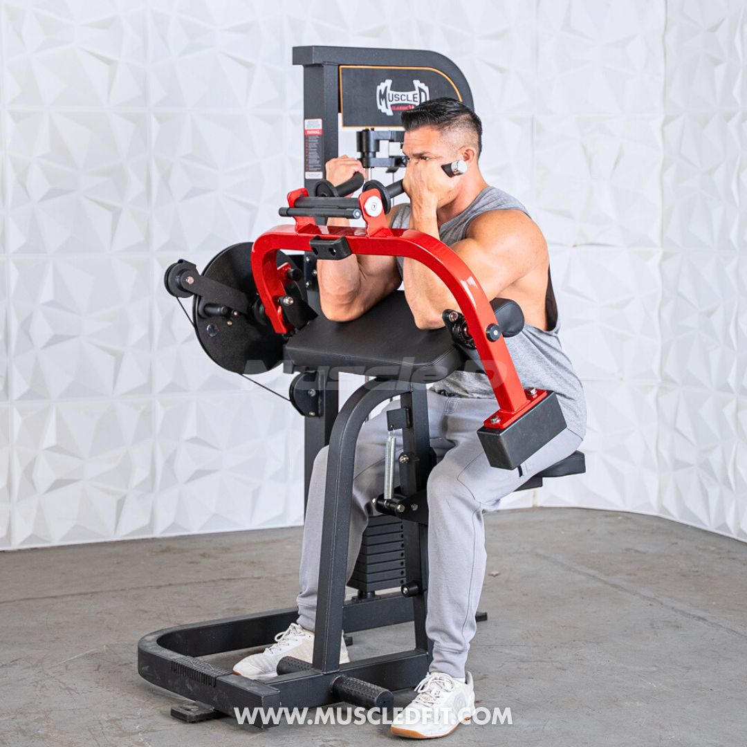 Man using a seated Classic V2 Biceps/Triceps machine in a gym setting
