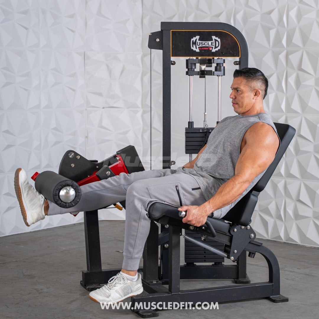Classic V2 Selectorized Leg Extension Machine – Muscle D Fitness