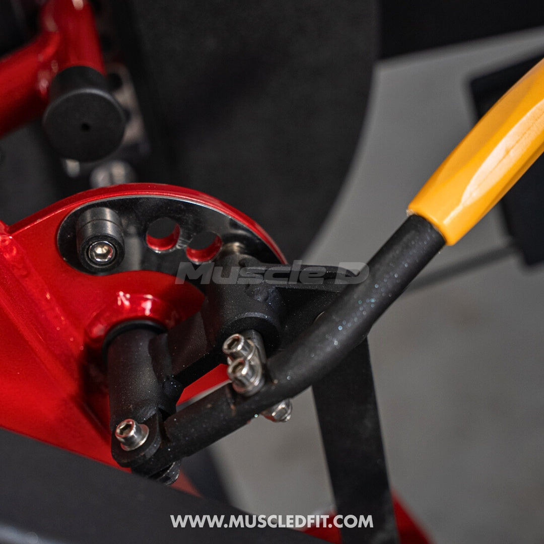 Classic V2 Selectorized Leg Extension Machine – Muscle D Fitness