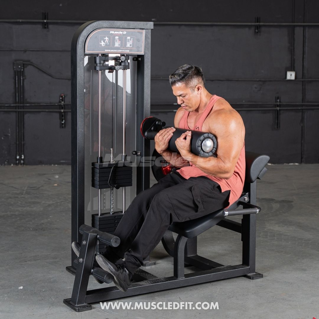 Classic V2 Selectorized Back / Ab Combo by Muscle D Fitness - Dual Function Core Machine