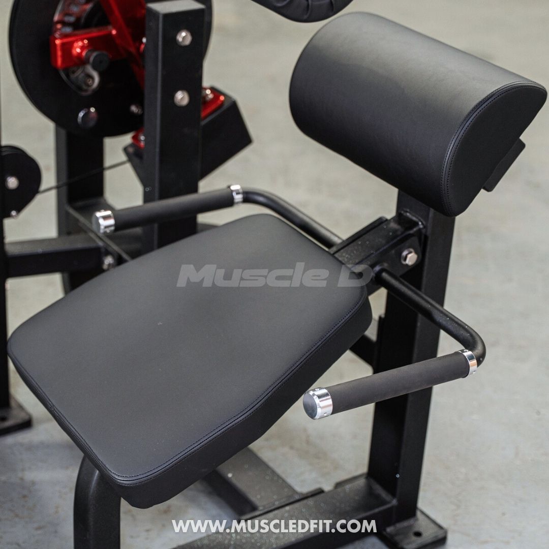 Classic V2 Selectorized Back / Ab Combo by Muscle D Fitness - Dual Function Core Machine