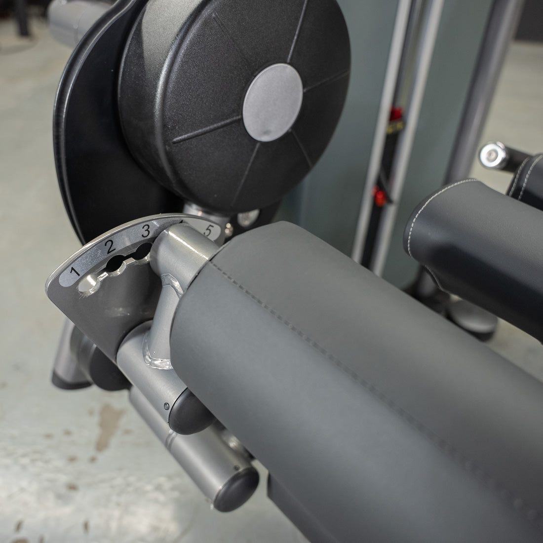 muscle d fitness commercial selectorized black and dark grey elite plus leg extension seated leg curl combo leg machine detail