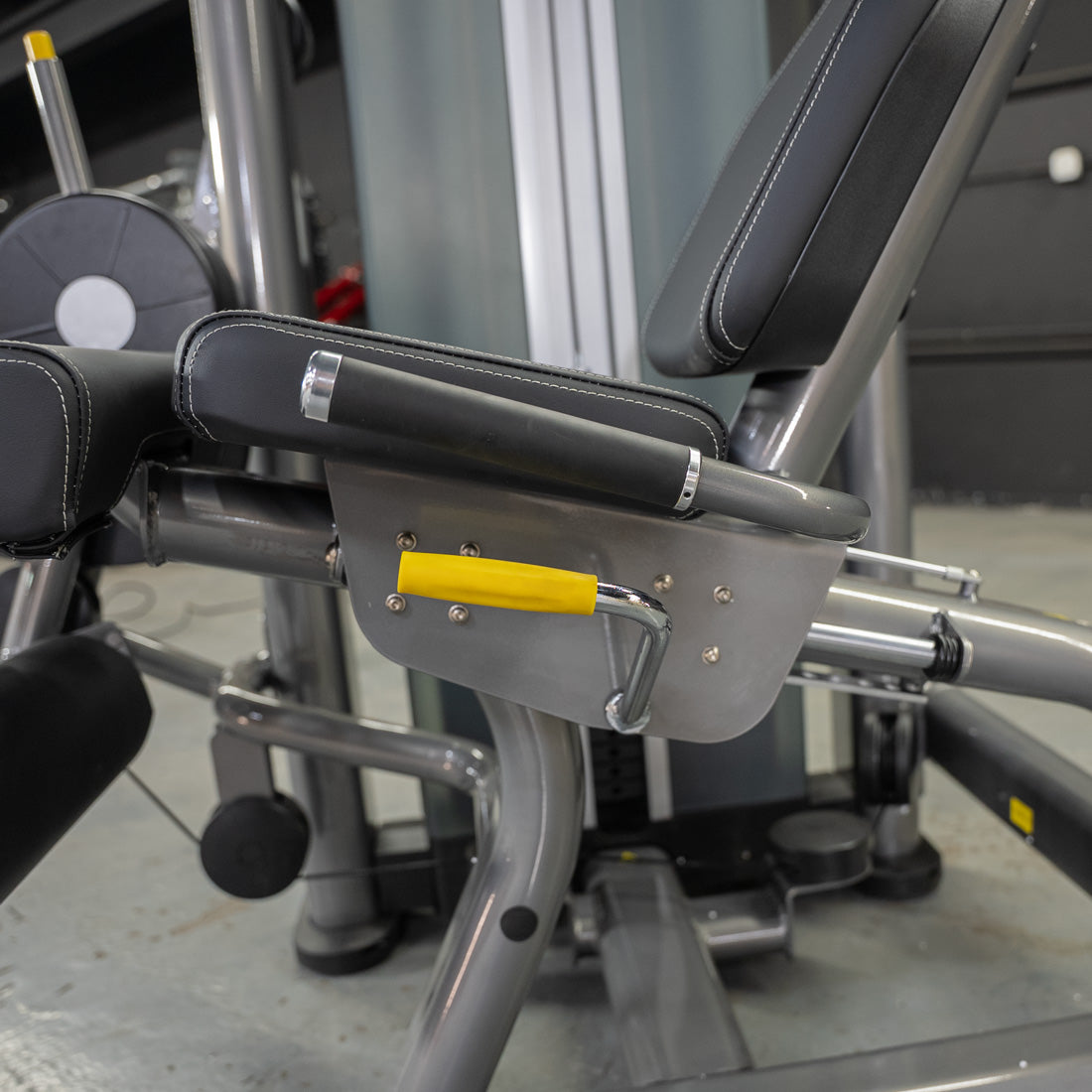 muscle d fitness commercial selectorized black and dark grey elite plus leg extension seated leg curl combo leg machine detail