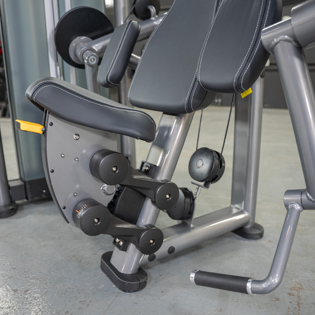 muscle d fitness commercial selectorized black and dark grey elite plus biceps curl machine seat detail