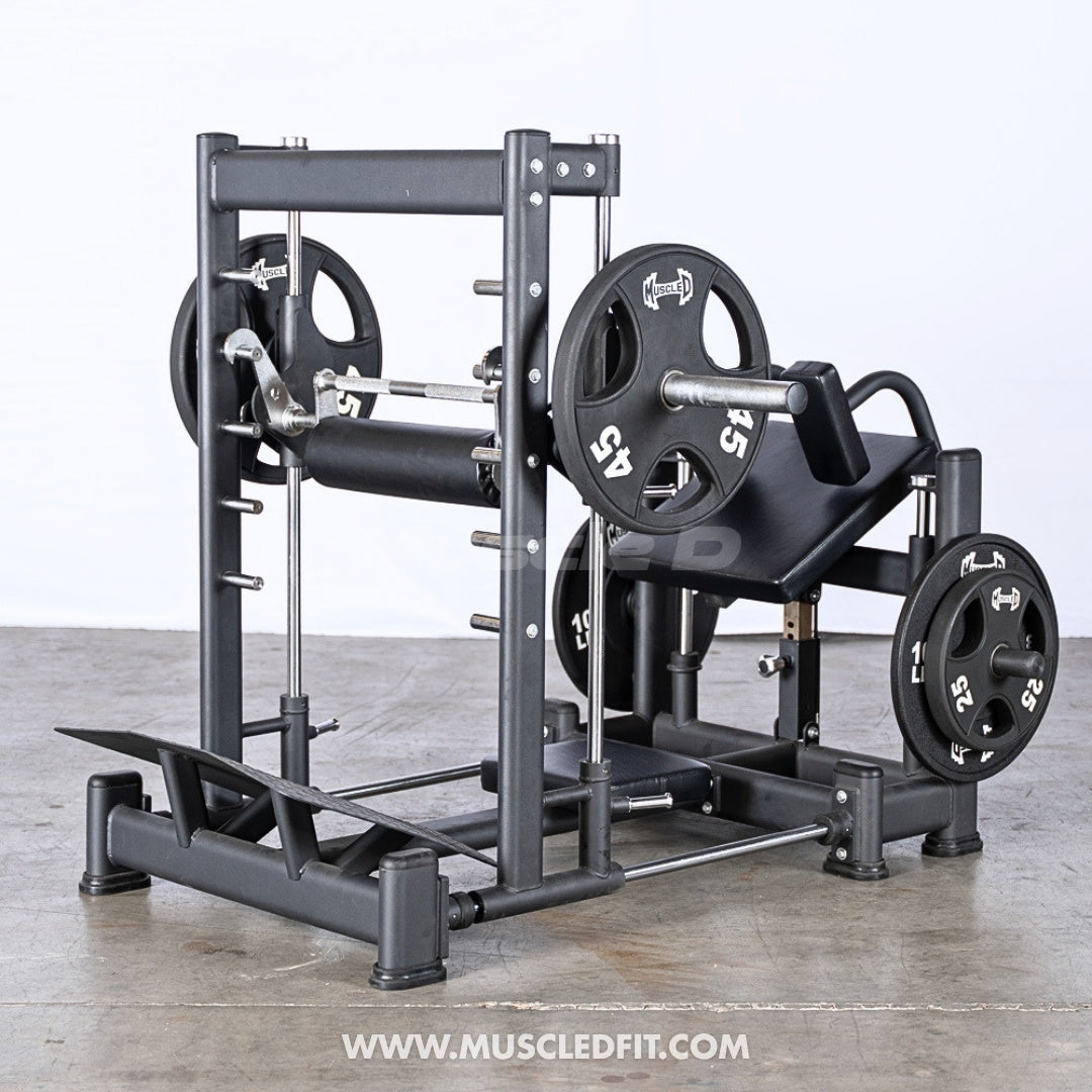 Excel 3D Smith Machine Hip Thruster | Muscle D Fitness