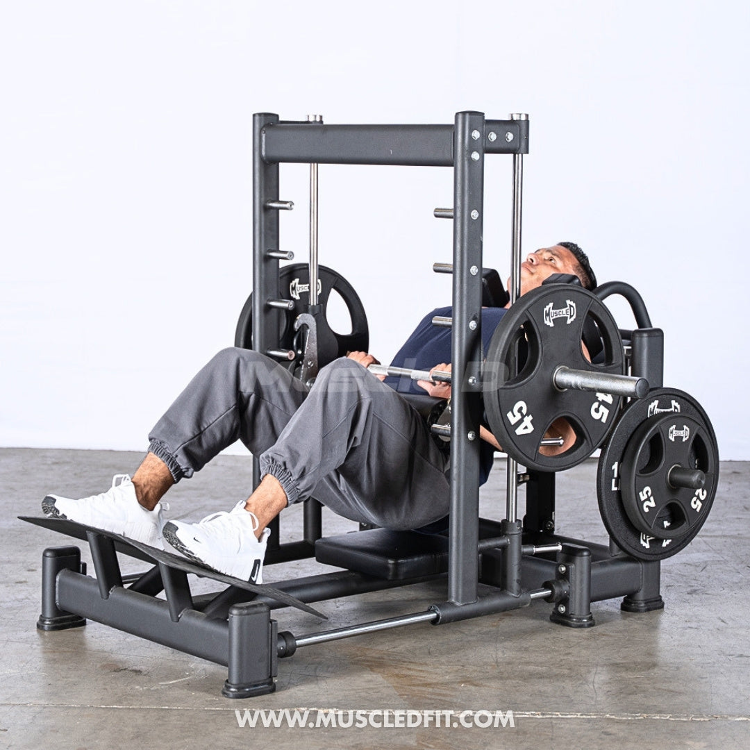 Excel 3D Smith Machine Hip Thruster | Muscle D Fitness