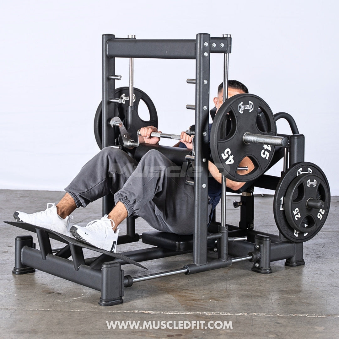 Excel 3D Smith Machine Hip Thruster | Muscle D Fitness
