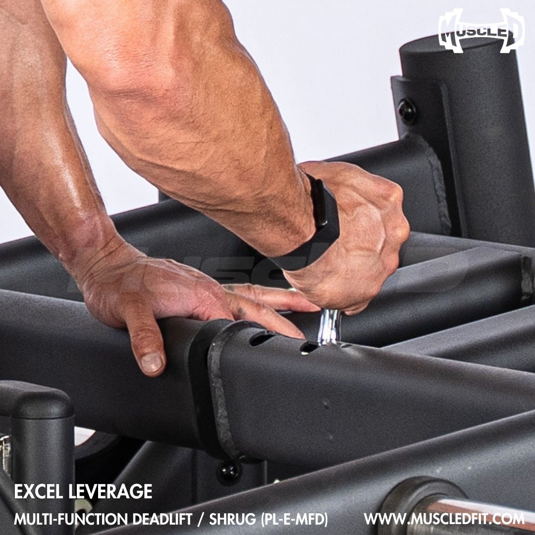 Quickly Adjust from Unilateral to Isolateral Training