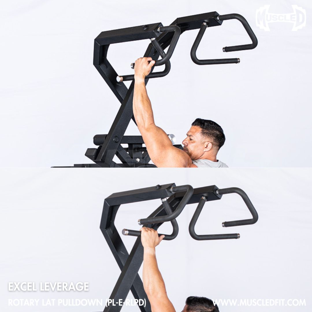 Multiple Handle Positions for Training Variety