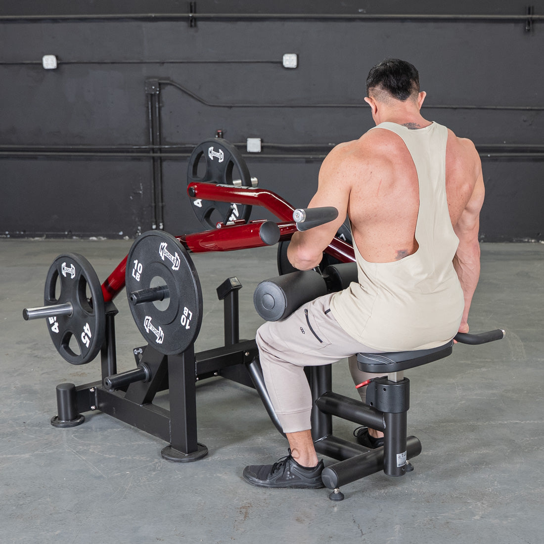 muscle d fitness commercial plate loaded black and maroon power leverage v2 iso lateral dip machine