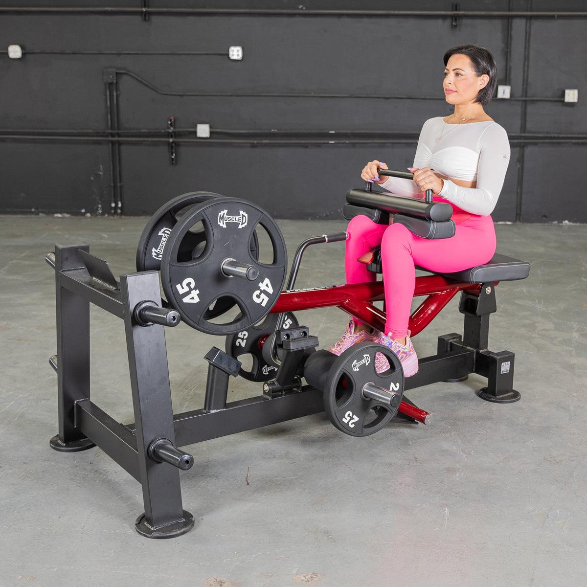 Power Leverage V2 Seated Calf / Tib - Muscle D Fitness