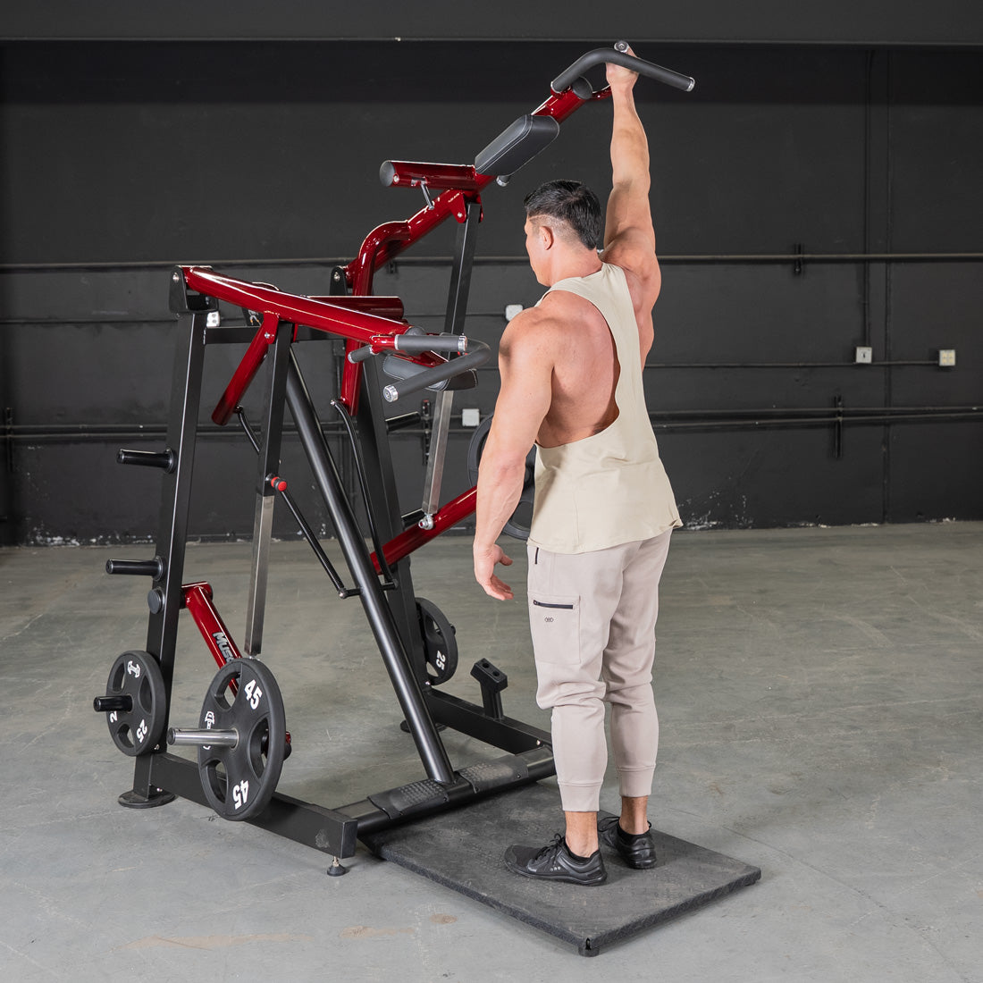 Single arm press in the Iso Laterlal Viking Press calf raise combo