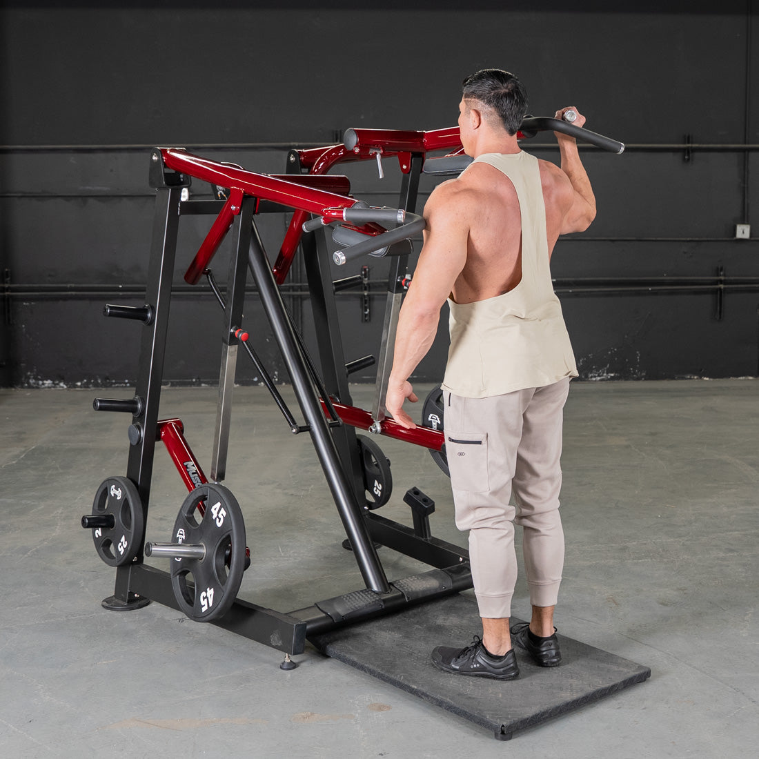 Single arm press in the Iso Laterlal Viking Press calf raise combo