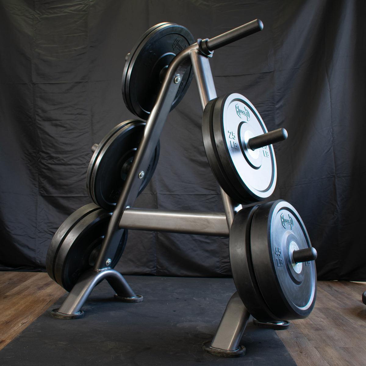 Pro Bumper Training Plates with Center Steel Hub (10,15,25,35,45 lb) per Pair