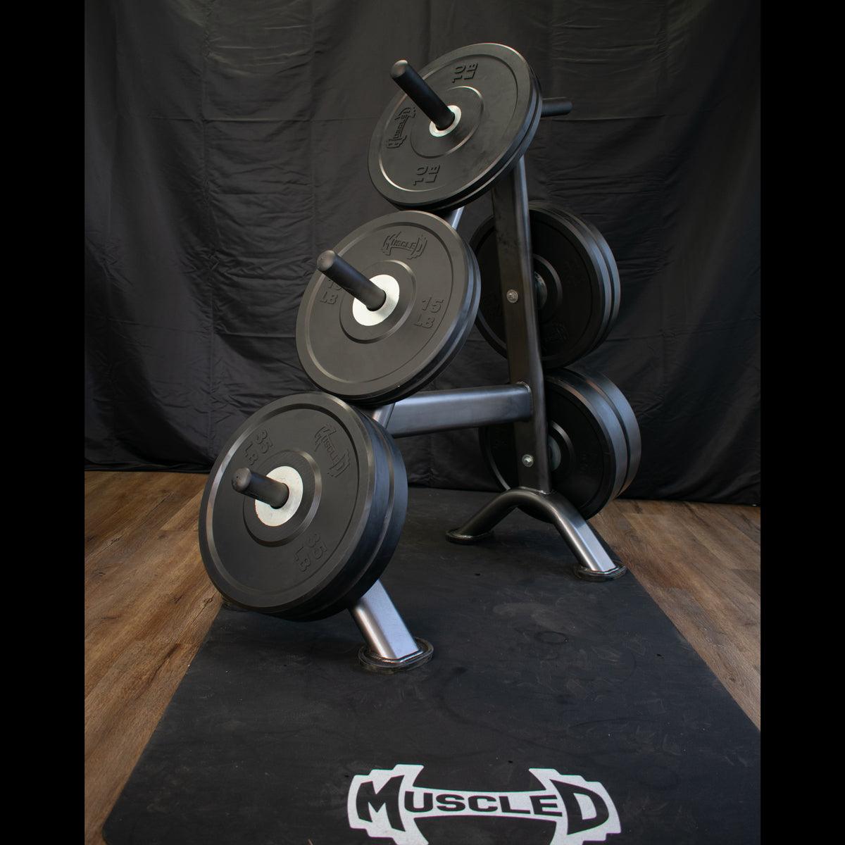 Pro Bumper Training Plates with Center Steel Hub (10,15,25,35,45 lb) per Pair