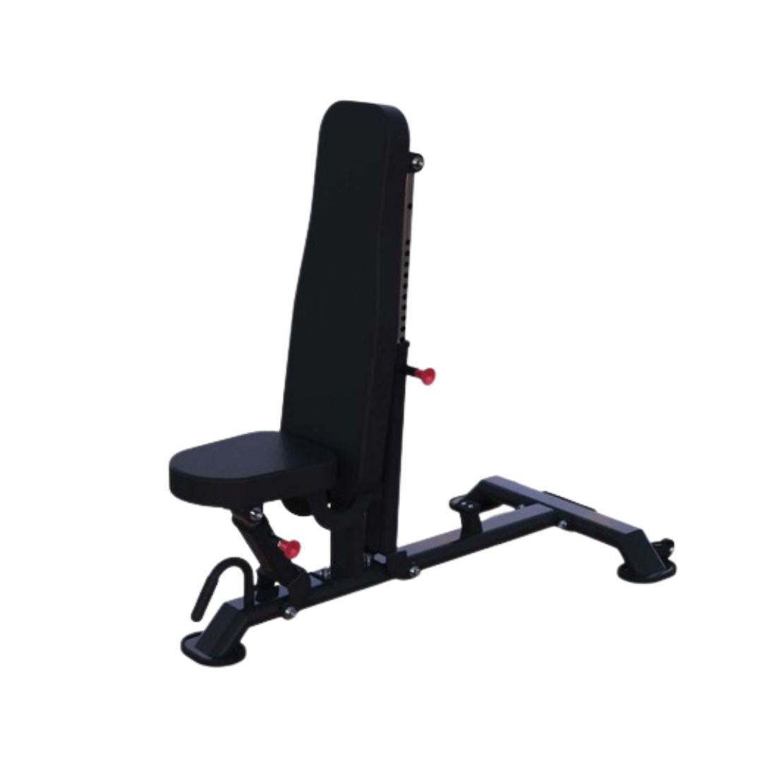 Vertical Flat to Incline Bench | Muscle D Fitness