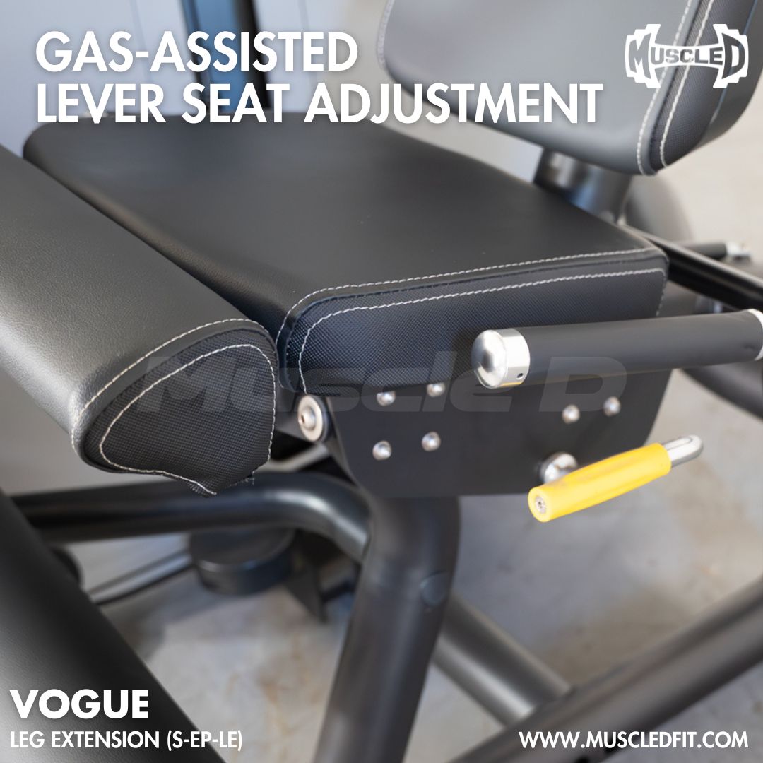 Gas-Assisted Lever Seat Adjustment