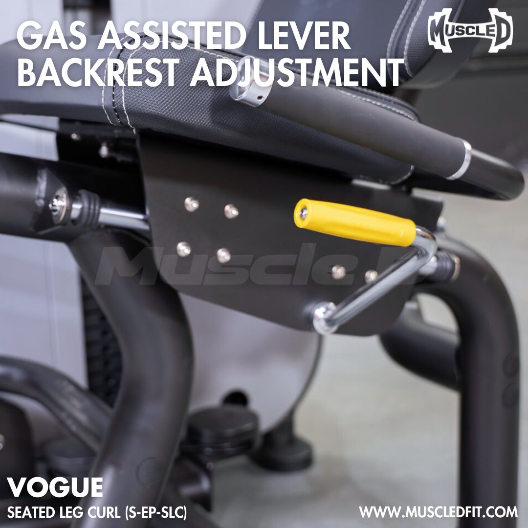 Gas-Assisted Lever Backrest Adjustment