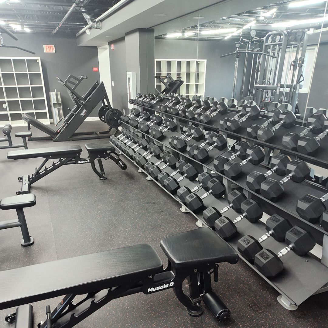 muscle d fitness commercial gym installation for customer