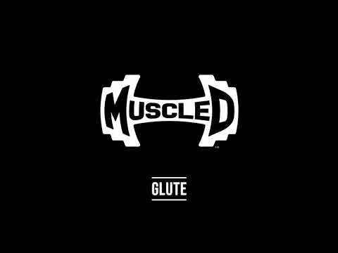 Elite Selectorized Glute video