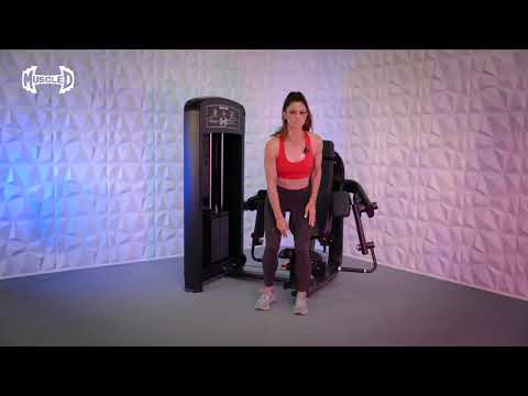 Elite Selectorized Biceps Curl video