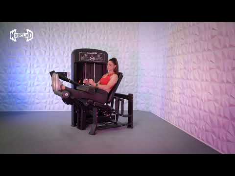 Elite Selectorized Seated Leg Curl video
