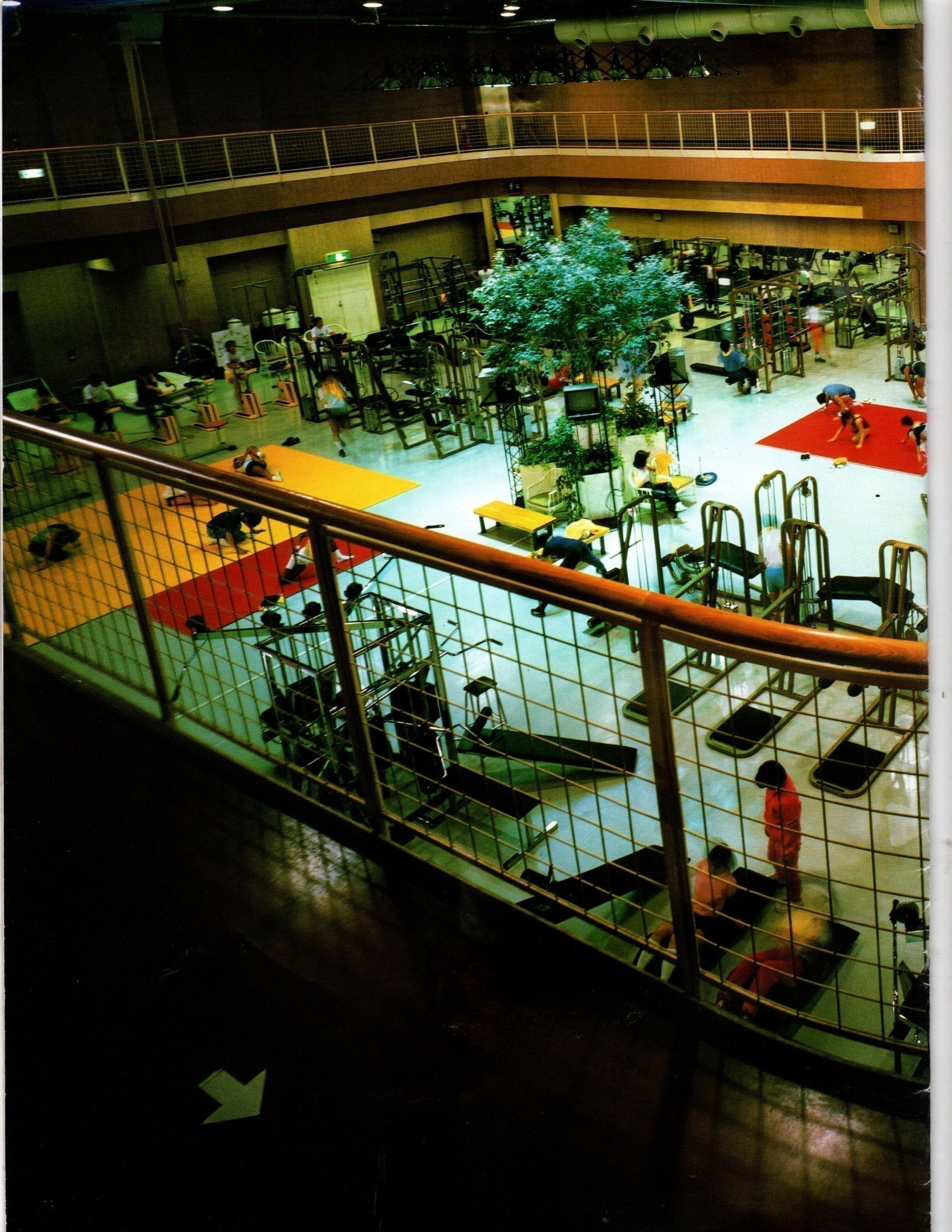 Muscle Dynamics: The Golden Era Legacy Behind Muscle D Fitness