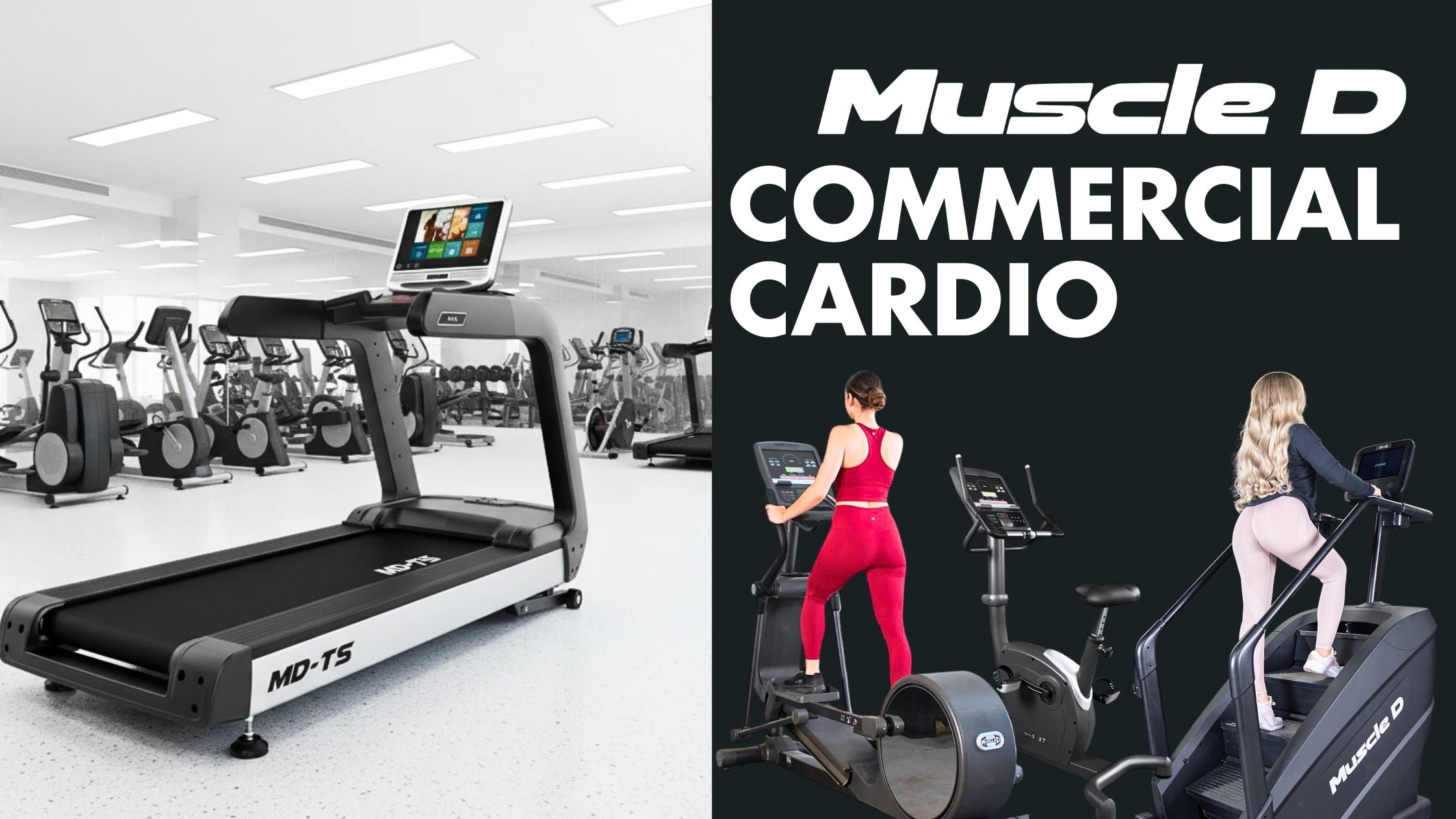 Commercial Cardio Equipment Guide | Muscle D Fitness