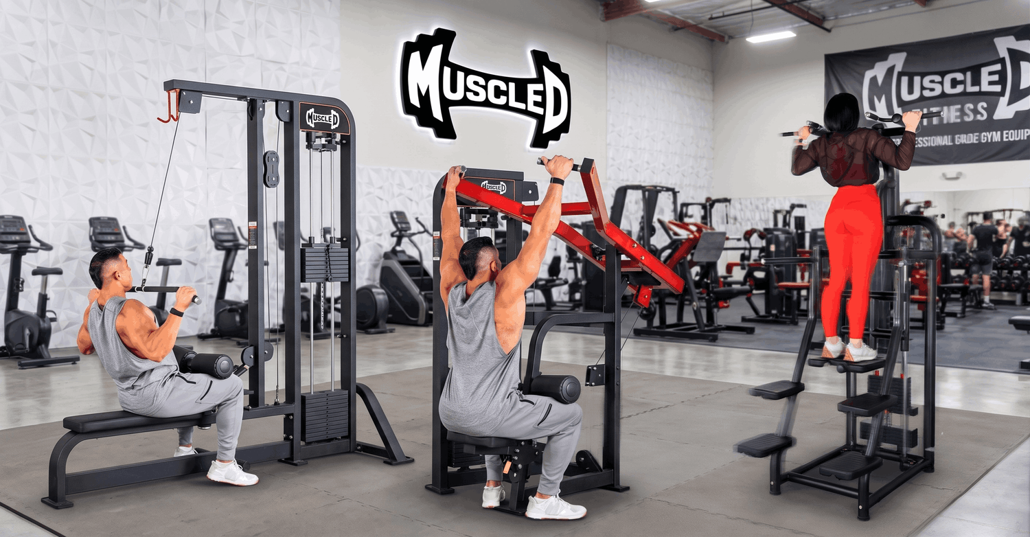 Lat-Pulldown, Lat Pull, and Assisted Chin/Dip machines in a gym setting.