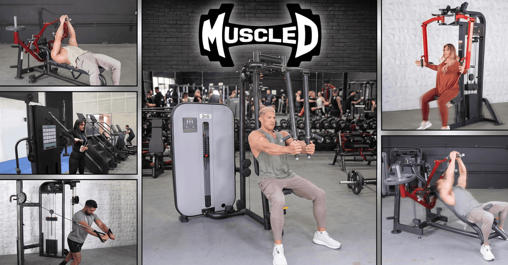 Best Chest Fly Machines for Pec Growth | Muscle D Fitness