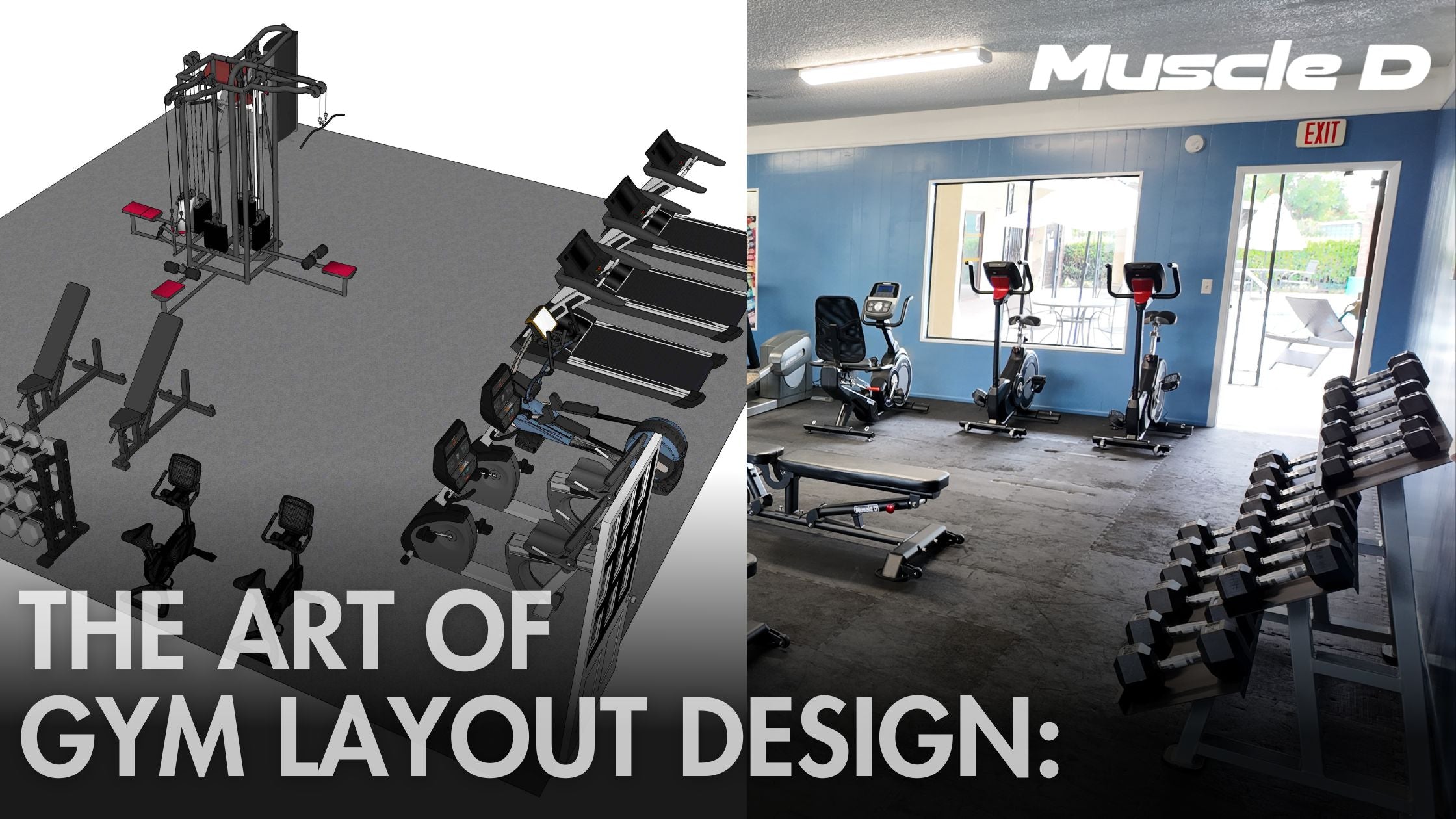 The Art of Gym Layout Design: Creating Spaces That Inspire Results