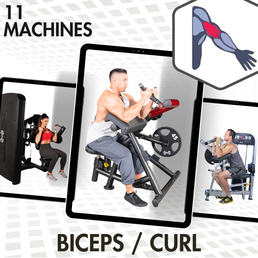 Spring Bicep Machine Upper Body Machines – Muscle D Fitness