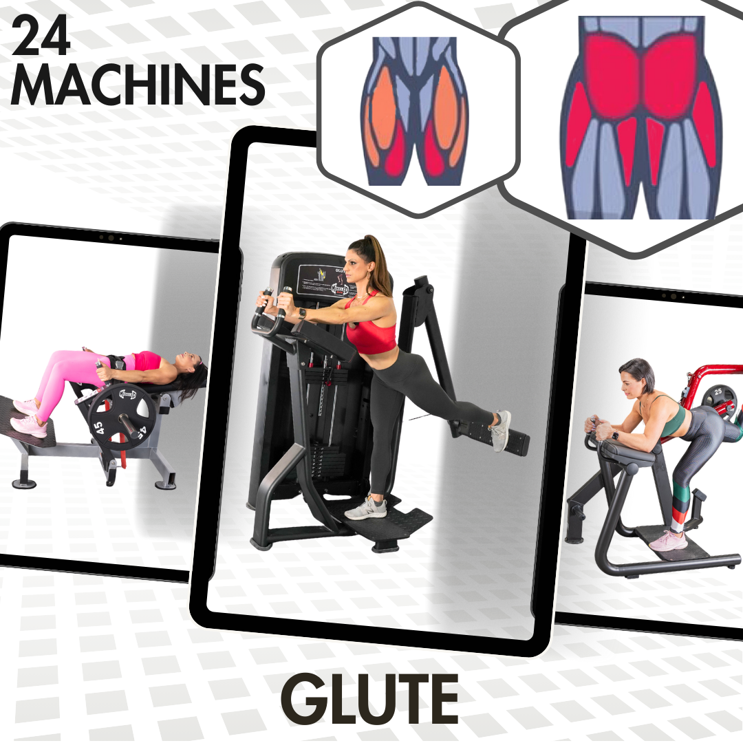 Lower Body Machines – Muscle D Fitness