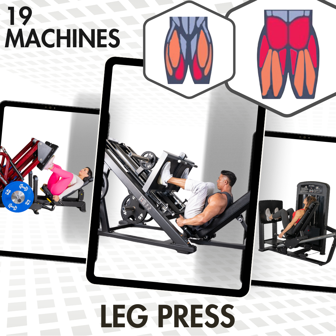 Leg Press Machines – Muscle D Fitness
