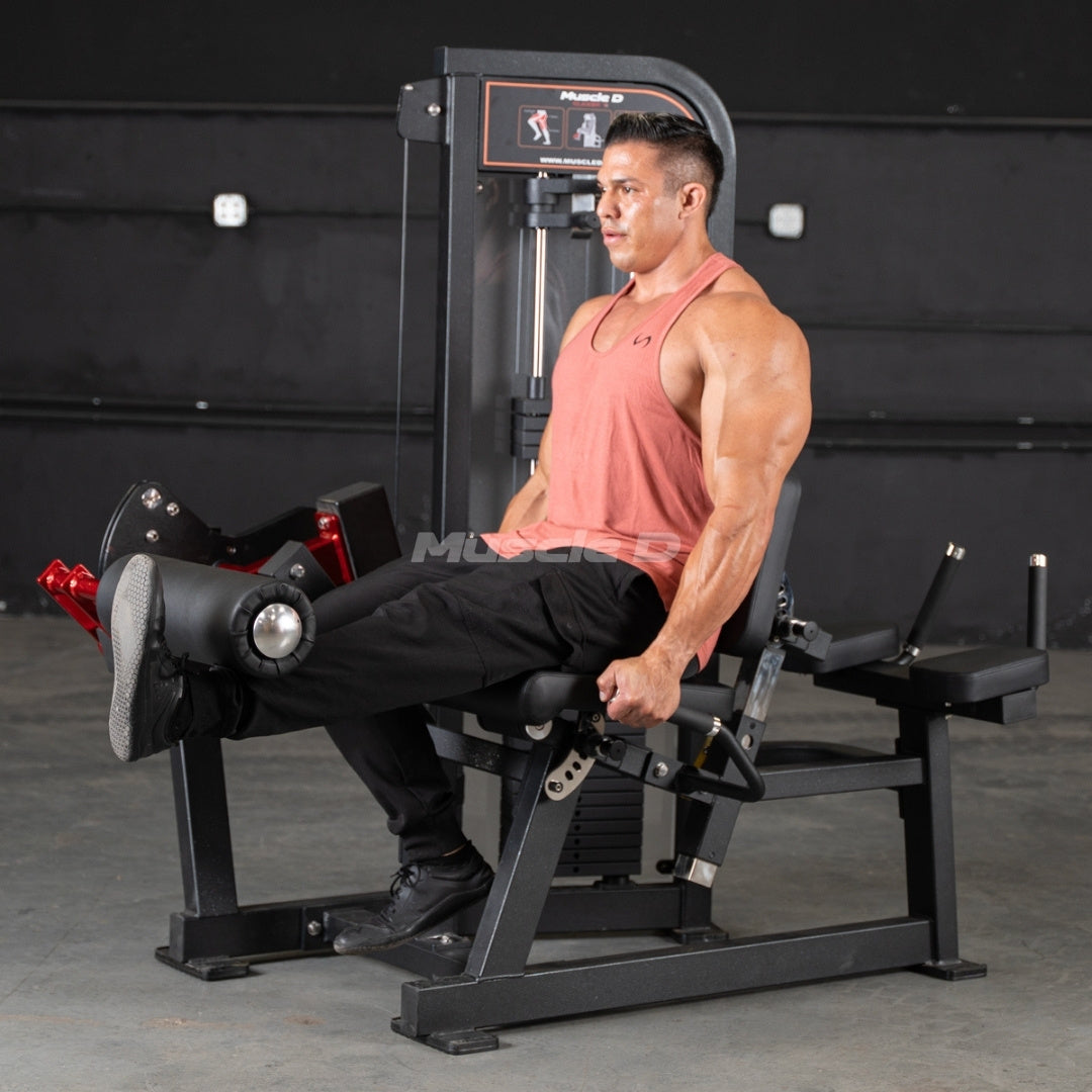 Classic V2 Leg Extension / Prone Leg Curl Combo – Muscle D Fitness