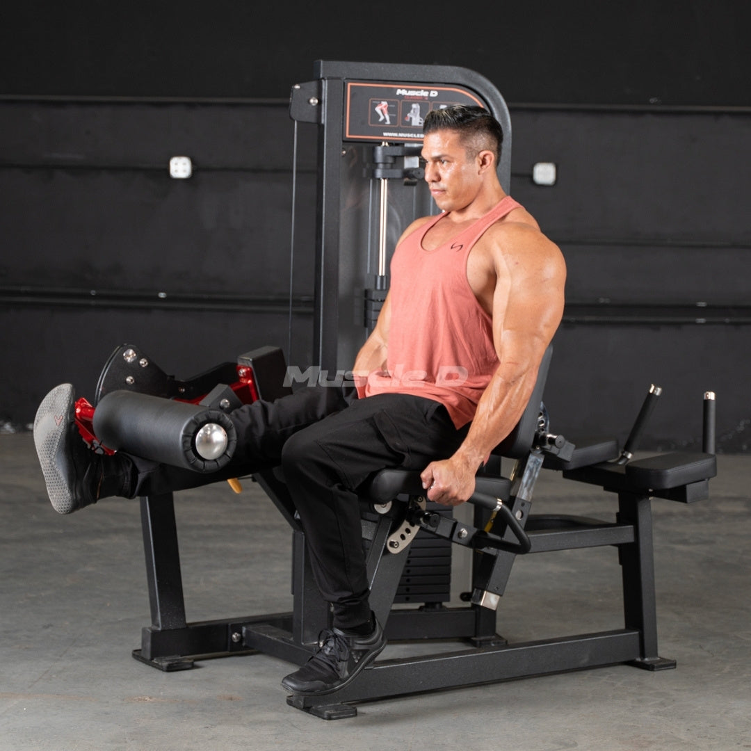Classic V2 Leg Extension / Prone Leg Curl Combo – Muscle D Fitness