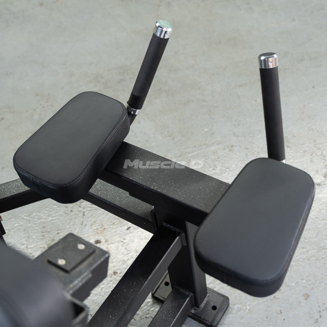 Classic V2 Leg Extension / Prone Leg Curl Combo – Muscle D Fitness