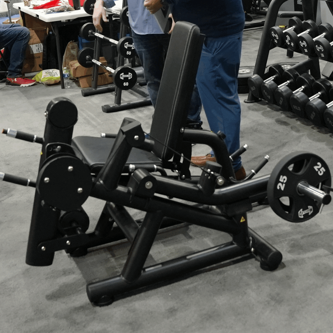 Pro Strength Leg Extension / Leg Curl Combo