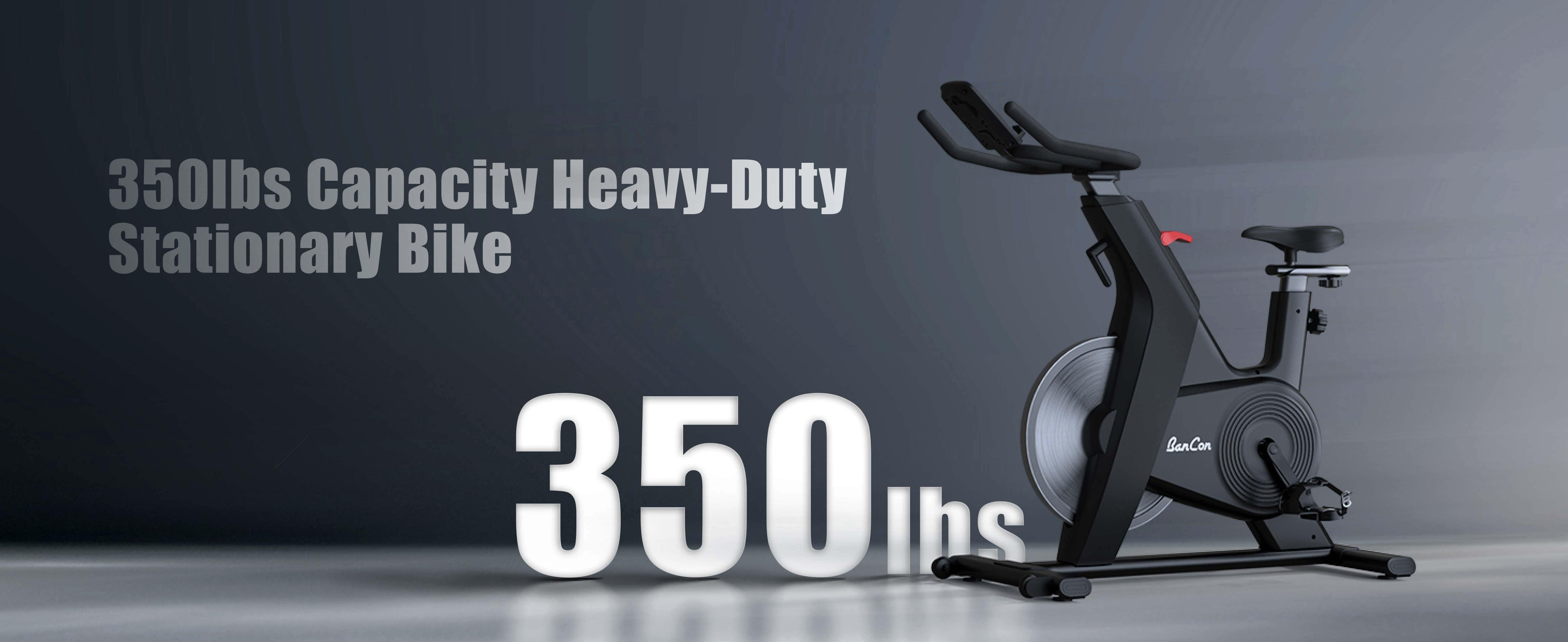 Home Upright Bike