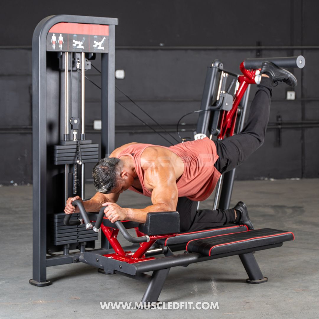 Man exercising on a Classic V2 Glute Kick machine with 'Muscle D Fit' branding.