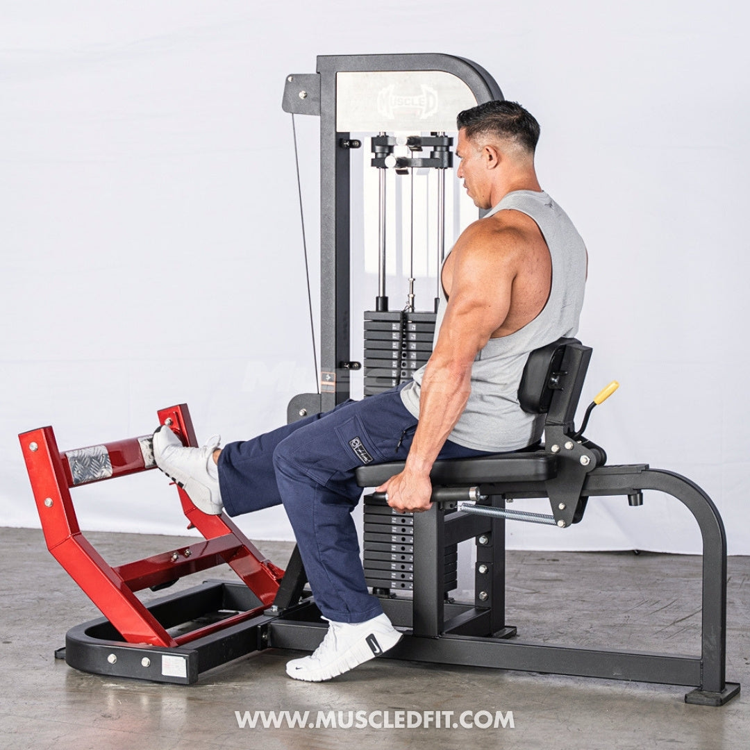 Muscle D Fitness Classic V2 Selectorized Seated Calf Machine