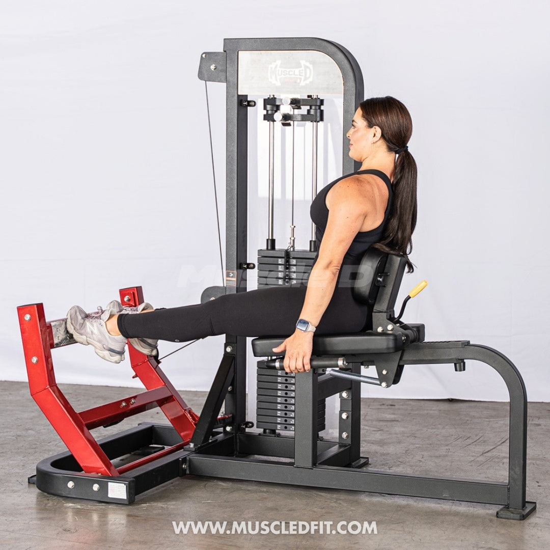 Muscle D Fitness Classic V2 Selectorized Seated Calf Machine