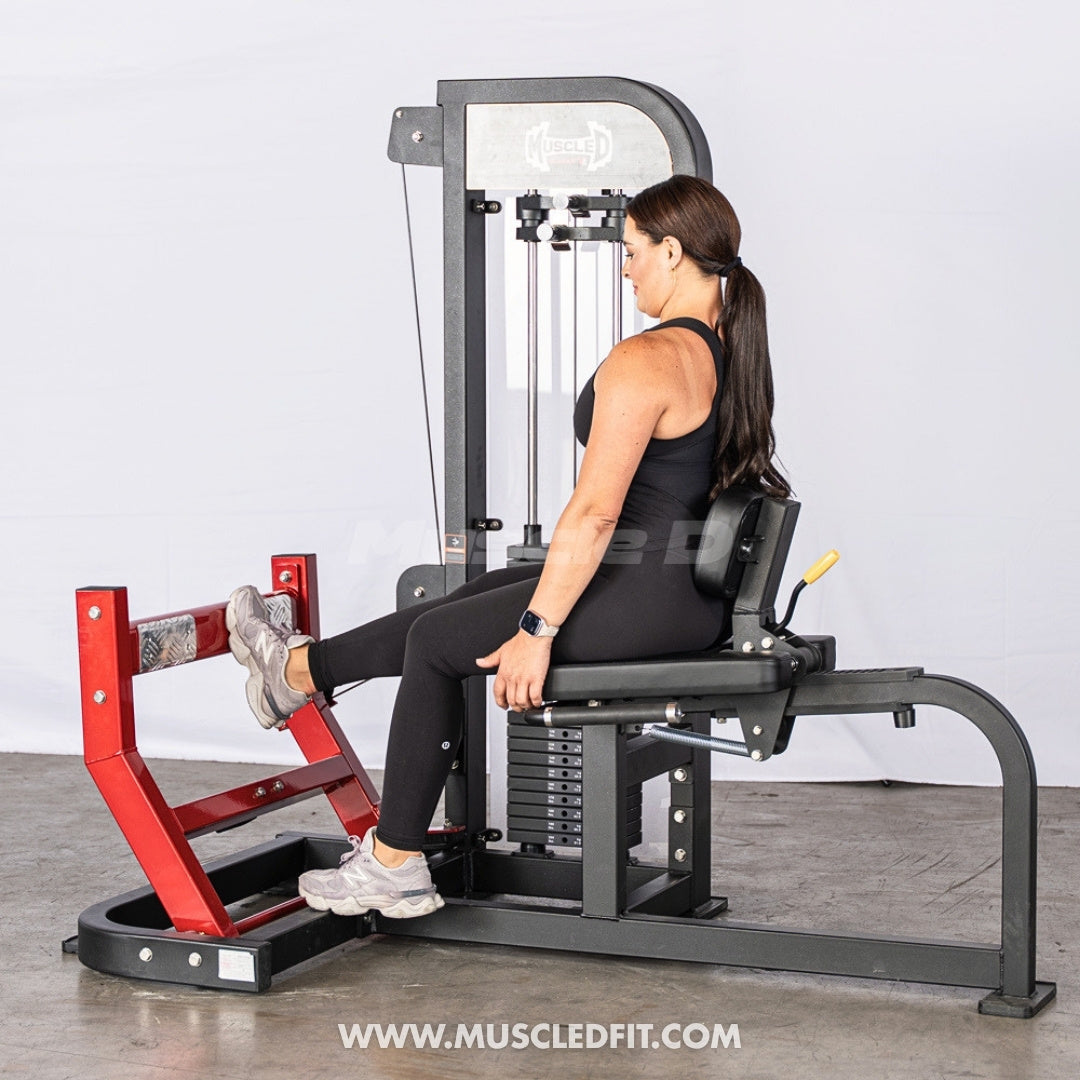 Muscle D Fitness Classic V2 Selectorized Seated Calf Machine