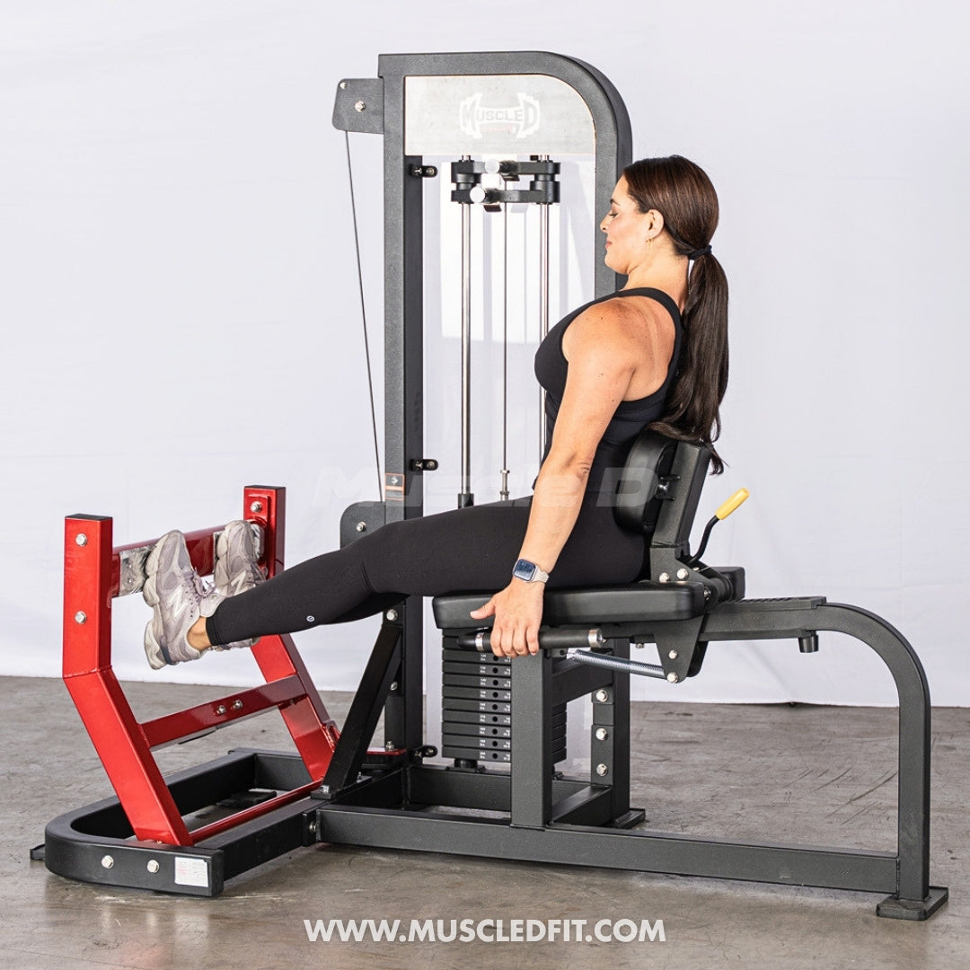 Muscle D Fitness Classic V2 Selectorized Seated Calf Machine