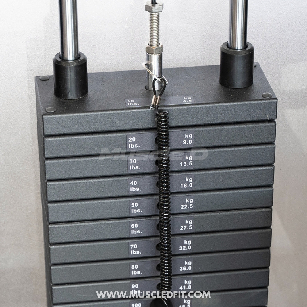 Muscle D Fitness Classic V2 Selectorized Seated Calf Machine