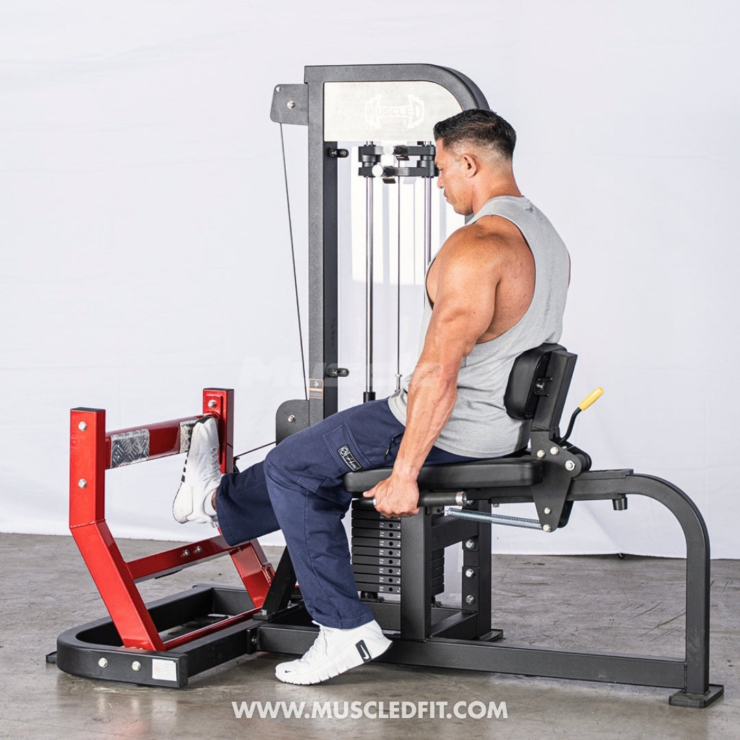 Muscle D Fitness Classic V2 Selectorized Seated Calf Machine