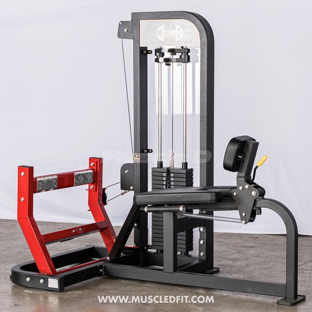 Muscle D Fitness Classic V2 Selectorized Seated Calf Machine